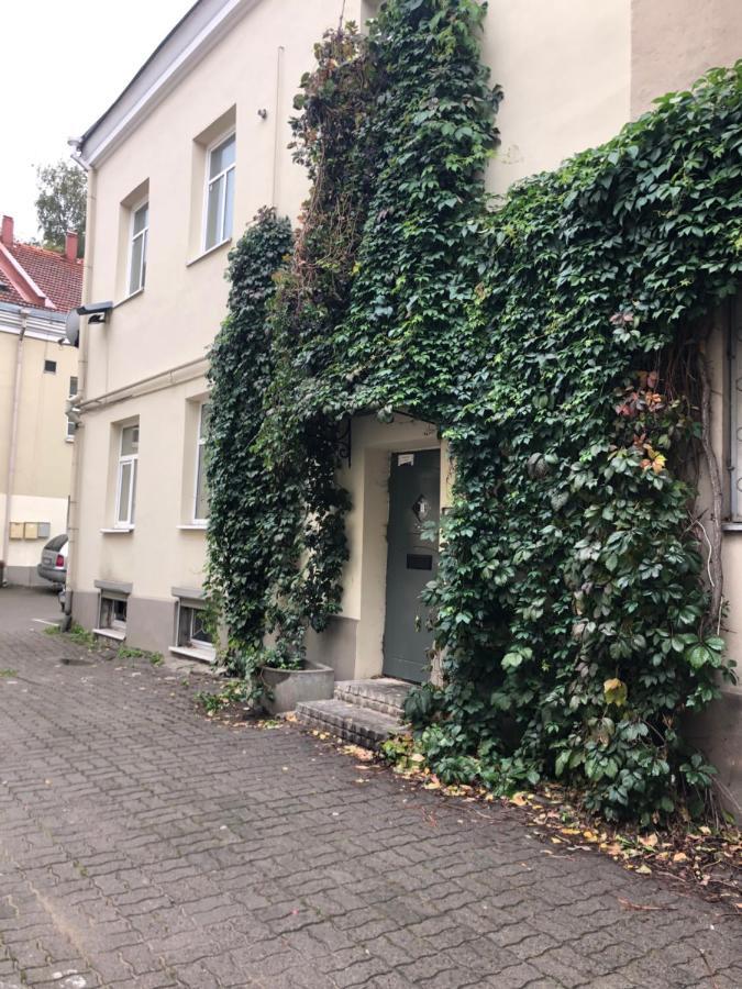 Angel House Vilnius, Dysnos Apartment Ngoại thất bức ảnh
